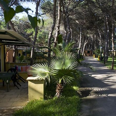 Camping La Vecchia Torre Hotel กัลลีโปลี ภายนอก รูปภาพ