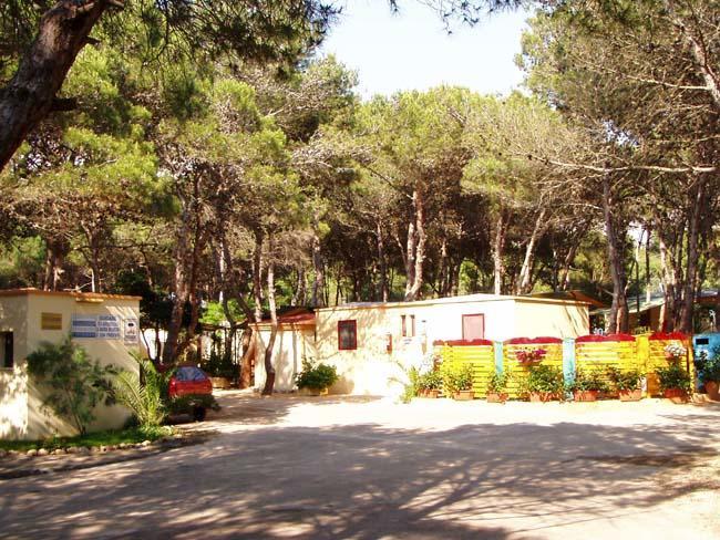 Camping La Vecchia Torre Hotel กัลลีโปลี ภายนอก รูปภาพ
