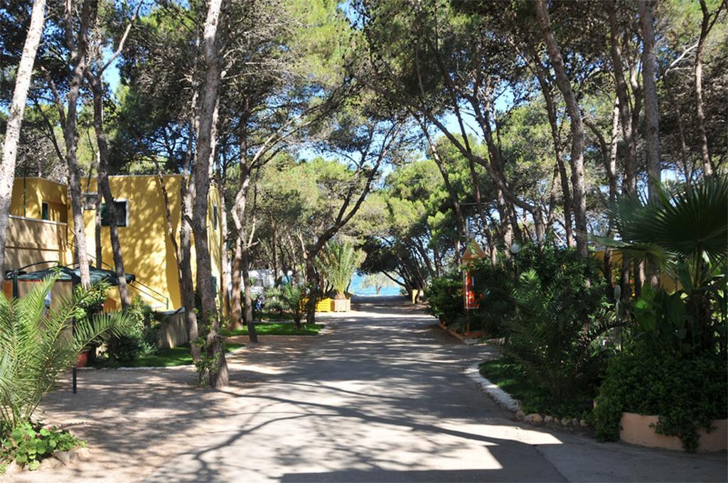 Camping La Vecchia Torre Hotel กัลลีโปลี ภายนอก รูปภาพ